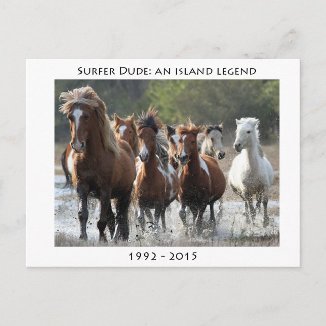 Cartão Postal Surfer E Sua Banda (Frente)