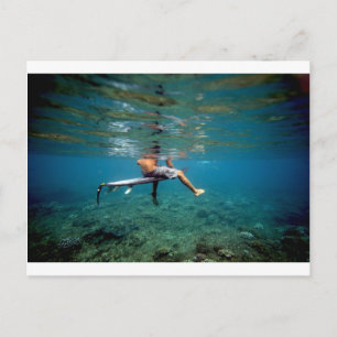 Cartão Postal Surfista sentado na prancha sobre recife de coral