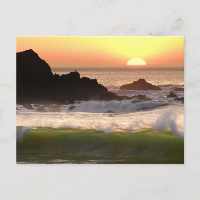 Cartão Postal Surfista solar (Frente)