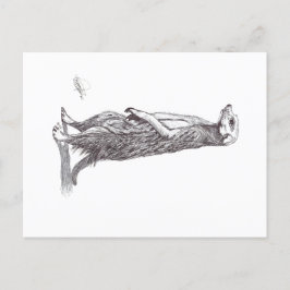 CARTÃO POSTAL SURICATA. MEERKAT
