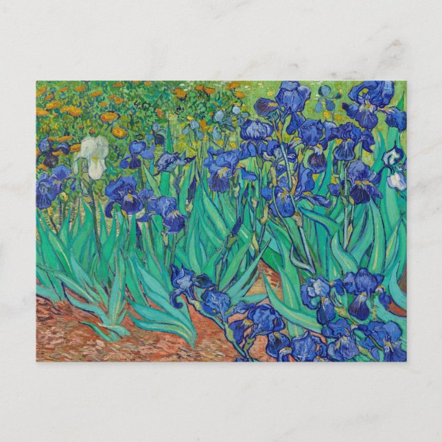 Cartão Postal Suris 1889 por Vincent Van Gogh Fine Art Flowers (Frente)