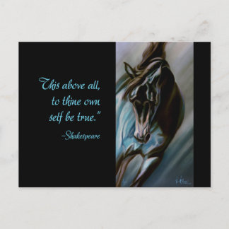 Cartão Postal Surpresa no Aqua - garanhão expressivo do