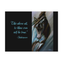 Surpresa no Aqua - garanhão expressivo do