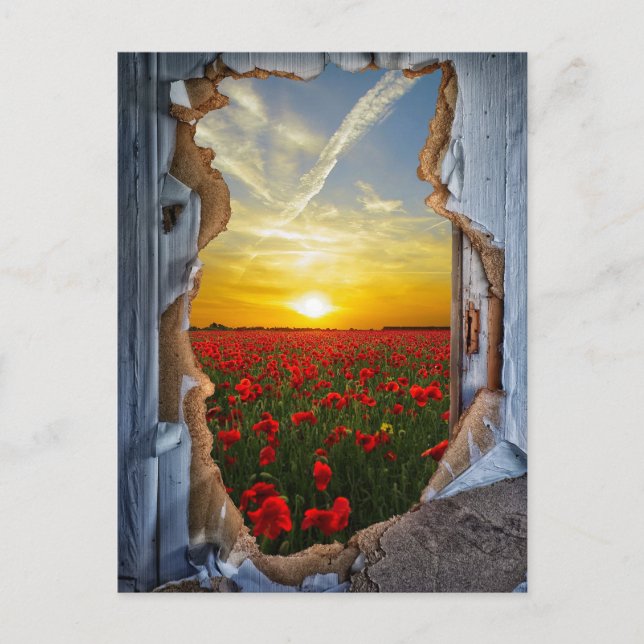 Cartão Postal Surreal Fantasy (Frente)