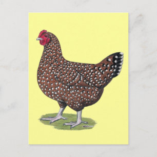 Cartão Postal Sussex:  Hen Espetacular