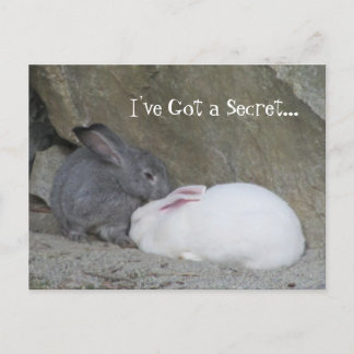 Cartão Postal Sussurrador de Coelhos
