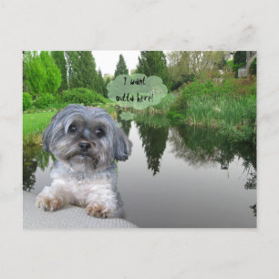 Cartão Postal Sutcliffe Park, Vancouver, BC — Cartão-postal