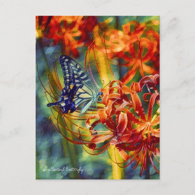 Cartão Postal Swallowtail Butterfly：Postcard (Frente)