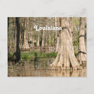 Cartão Postal Swamp Louisiana