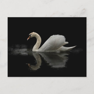 Cartão Postal Swan