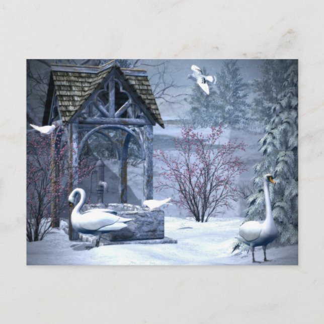 Cartão Postal Swan Branco No Natal Da Neve (Frente)