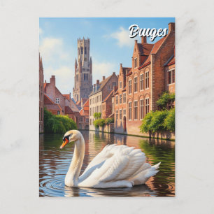 Cartão Postal Swan em Bruges Belgium Viagem Souvenir