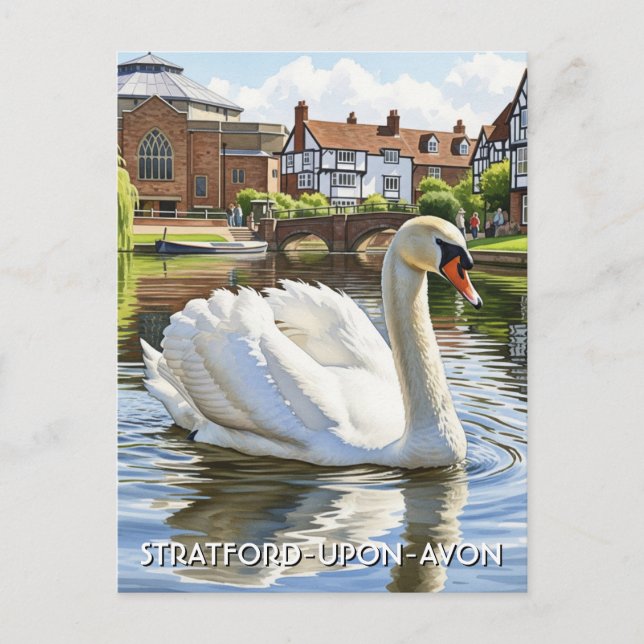 Cartão Postal Swan em Stratford-On-Avon England Viagem (Frente)