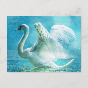 Cartão Postal Swan Mágico durante um Chá de Verão
