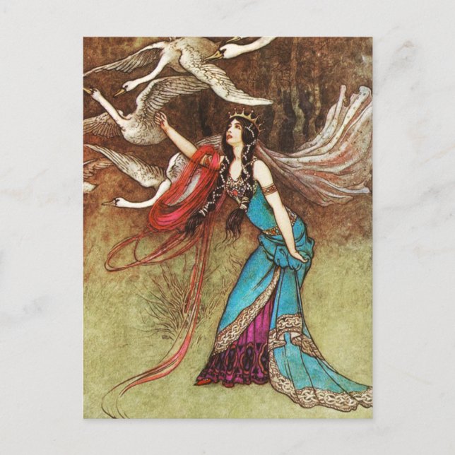 Cartão Postal Swan Queen Postcard (Frente)
