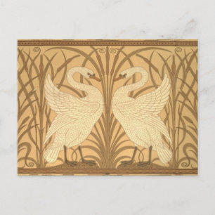 Cartão Postal Swan wallpaper design