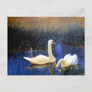 Cartão Postal Swans em Reeds por Bruno Liljefors