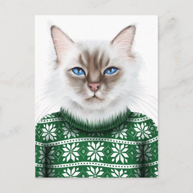 Cartão Postal Sweater Kitty Cat (Frente)