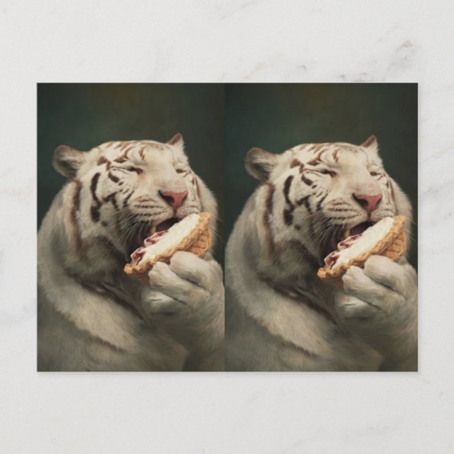 Cartão Postal Sweet White Tiger Postcard – Whimsical Art (Frente)