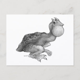 Cartão Postal Swog - Cartão-postal