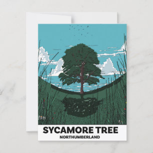 Cartão Postal Sycamore Tree Gap