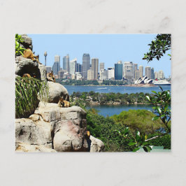 Cartão Postal Sydney Harbor do postal do Zoo