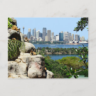 Cartão Postal Sydney Harbor do postal do Zoo