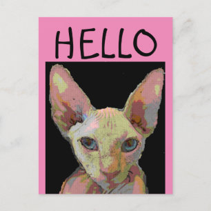 Cartão postal SYPHNX HAIRLESS CAT HELLO