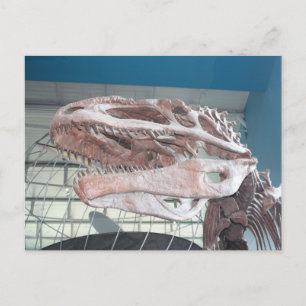 Cartão Postal T-Rex