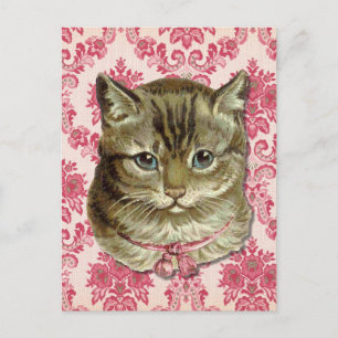 Cartão Postal Tabby cat