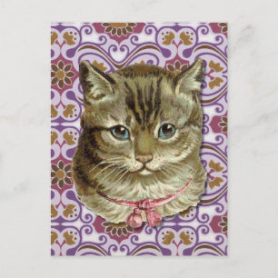 Cartão Postal Tabby cat