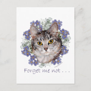 Cartão Postal Tabby Cat Forget-Me-Not