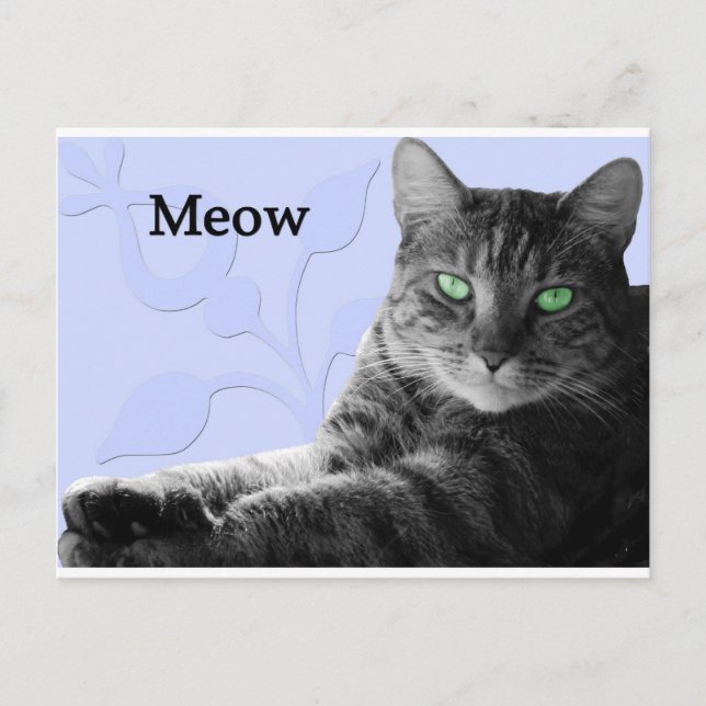 Cartão Postal Tabby Cat Meow (Frente)