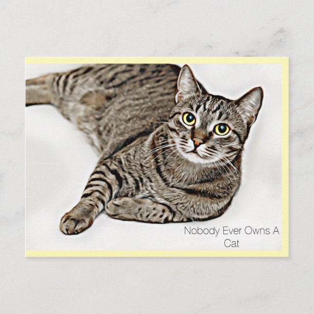 Cartão Postal Tabby Cat "Ninguém Nunca Possui Um Gato" | (Frente)