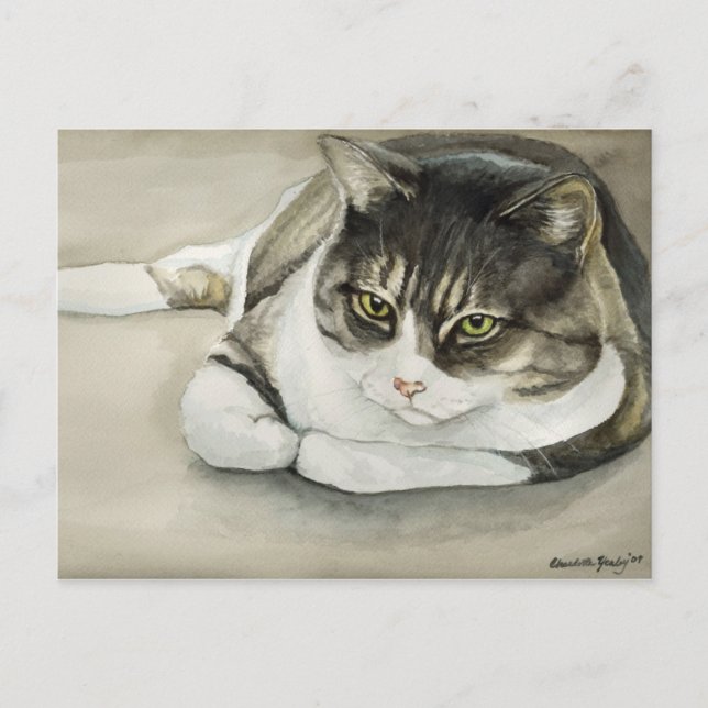 Cartão Postal Tabby Cat Original Art Postcard (Frente)