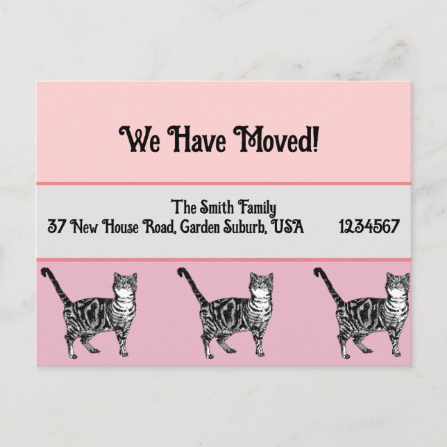 Cartão Postal Tabby Cat Pink Novo Cartão-Postal De Endereço, Est (Frente)