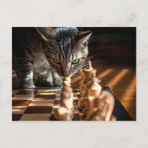 Cartão Postal Tabby Cat Playing Chess