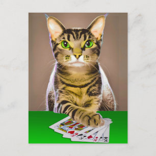 Cartão Postal Tabby Cat Playing Poker