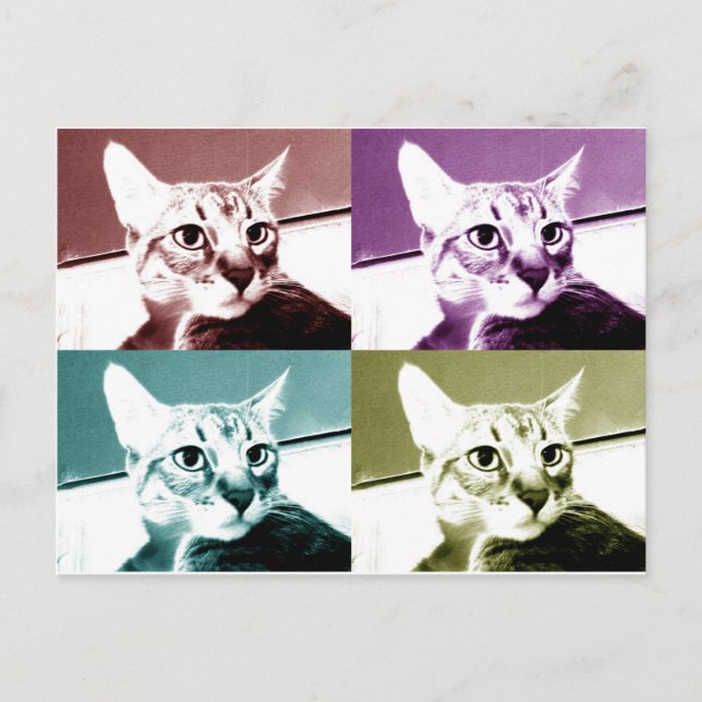 Cartão Postal Tabby Cat - Pop Art (Frente)