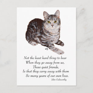 Cartão Postal Tabby Cat Rainbow Bridge