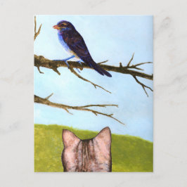 Cartão Postal Tabby Cats Fala com Pássaros