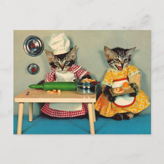 Cartão Postal tabby kitten chef e tabby kitten Assistant (Frente)