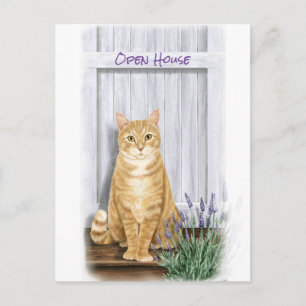 Cartão Postal Tabby Laranja Gato à Porta com Flores de Lavanda
