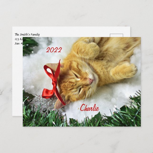Cartão Postal Tabby Laranja Personalizado - Natal (Frente/Verso)