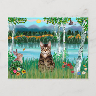 Cartão Postal Tabby Tiger Cat - Birds