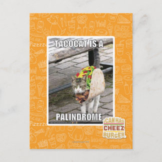CARTÃO POSTAL TACOCAT É UM PALINDROME