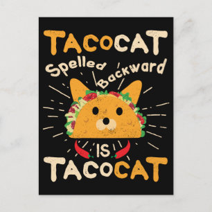Cartão Postal Tacocat Ortografado Cinco de Mayo Cat Taco