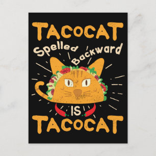 Cartão Postal Tacocat Ortografado Cinco de Mayo Taco