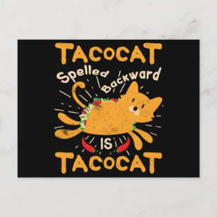 Cartão Postal Tacocat soletrou para trás o Taco do gato de Cinc