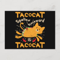 Tacocat soletrou para trás o Taco do gato de Cinco